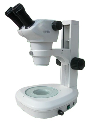 Stereo Microscope