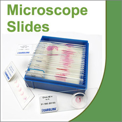 Micrscope Slides